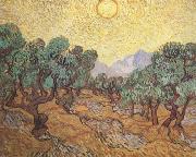 Vincent Van Gogh Olive Trees with Yellow Sky and Sun (nn04) oil painting picture wholesale